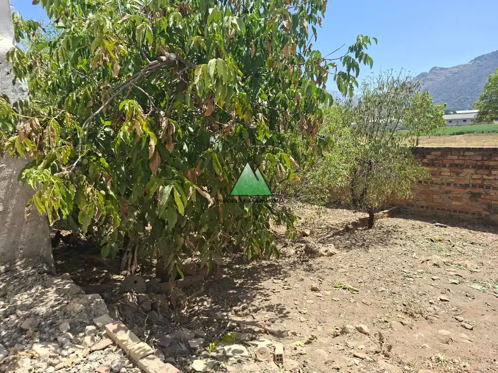 Casa o chalet en venta en Zafarraya