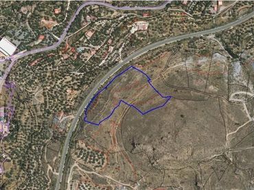 Rural land for sale in Alcolea