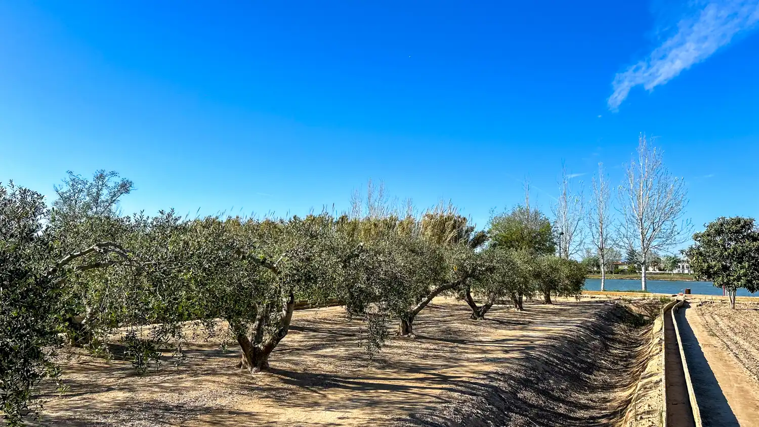 Terreny rústic en venda a Sant Jaume d'Enveja, imagen 10