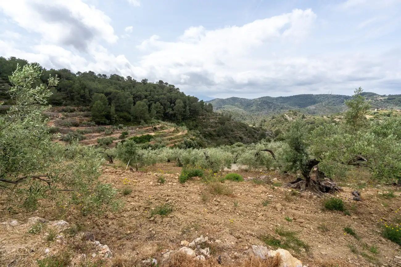 Terreno en venta en Tortosa