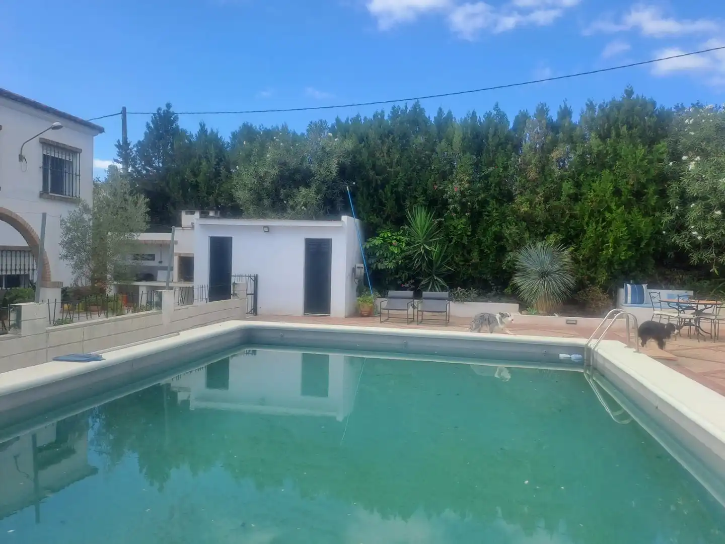 Piscina de Casa o xalet en venda en Cantillana amb Aire condicionat, Calefacció i Jardí privat