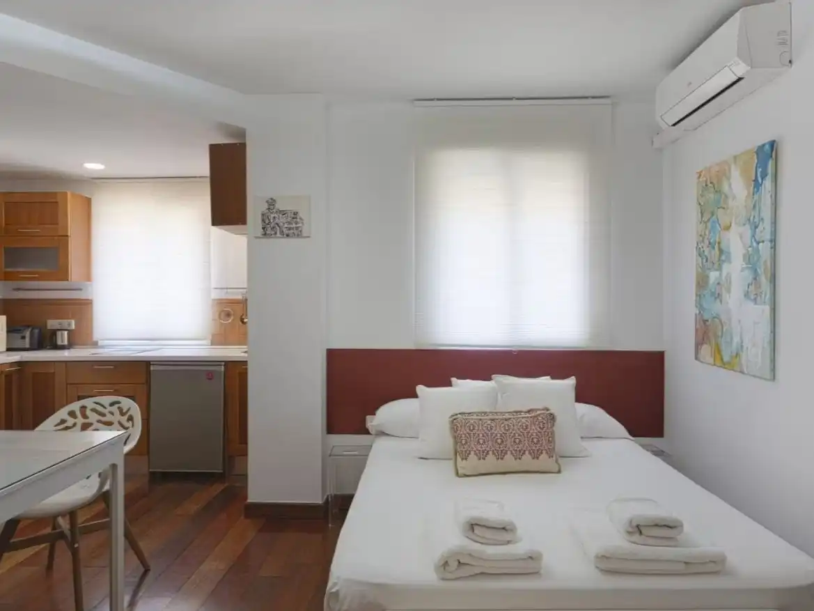 Estudio de alquiler en Paseo Reding, 25, La Malagueta - Monte Sancha