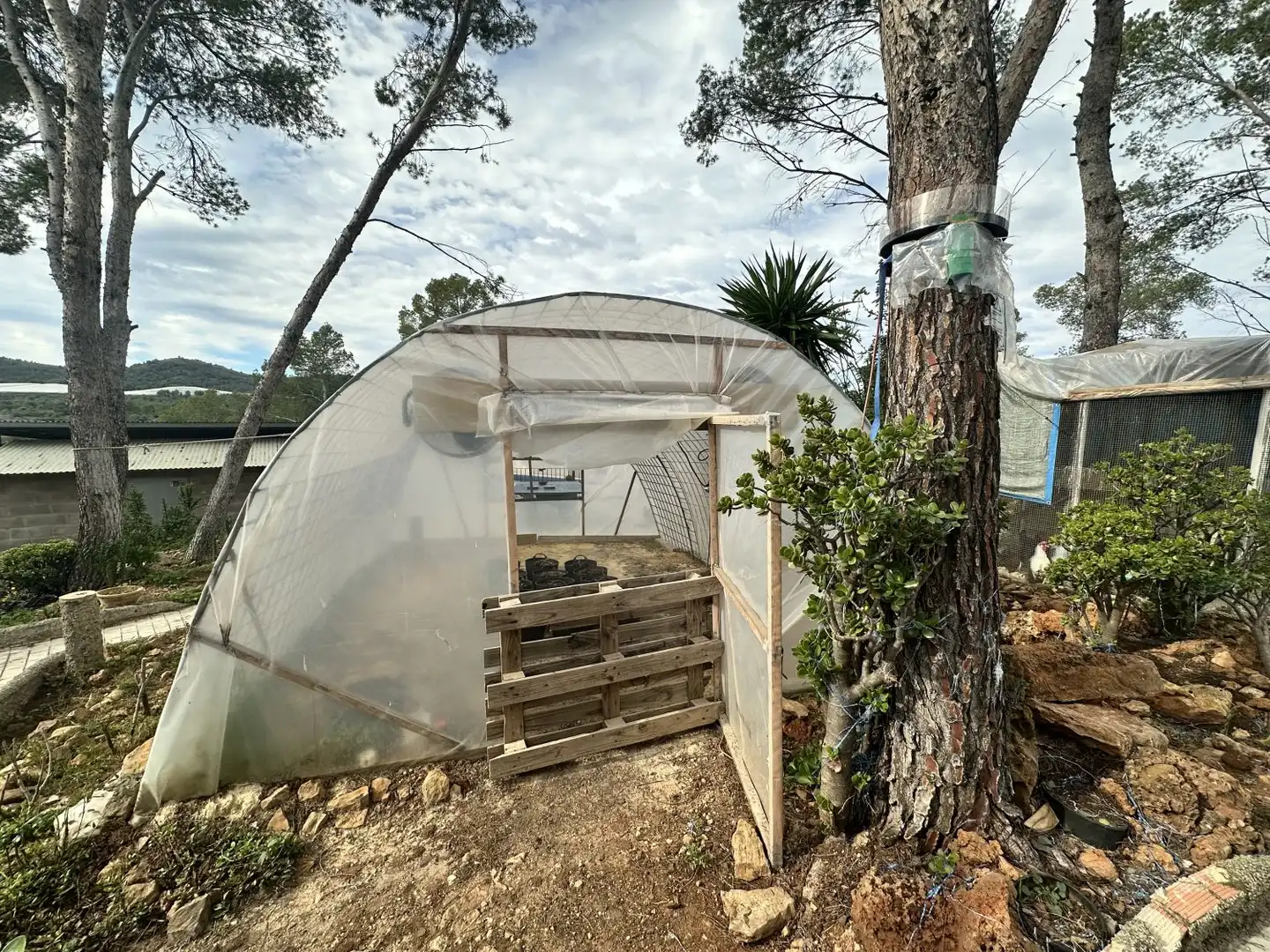 Garden of Houses for sale in Alfara de la Baronia  with Heating, Private garden and Terrace