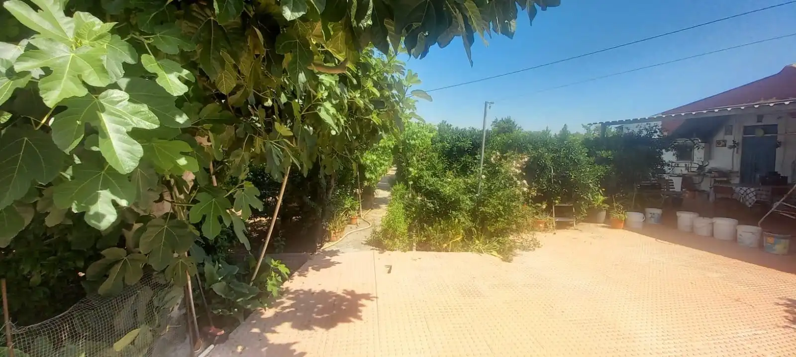 Vista exterior de Finca rústica en venda en Alcantarilla