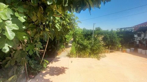 Foto 4 de Finca rústica en venda a Alcantarilla, Murcia