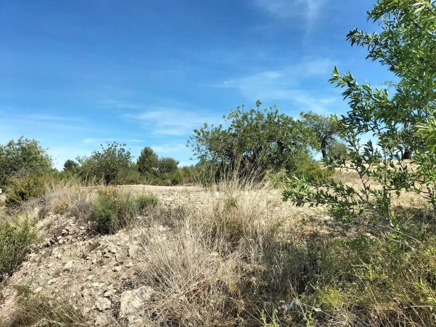 Terreno rustico in vendita a Navarrés, imagen 4