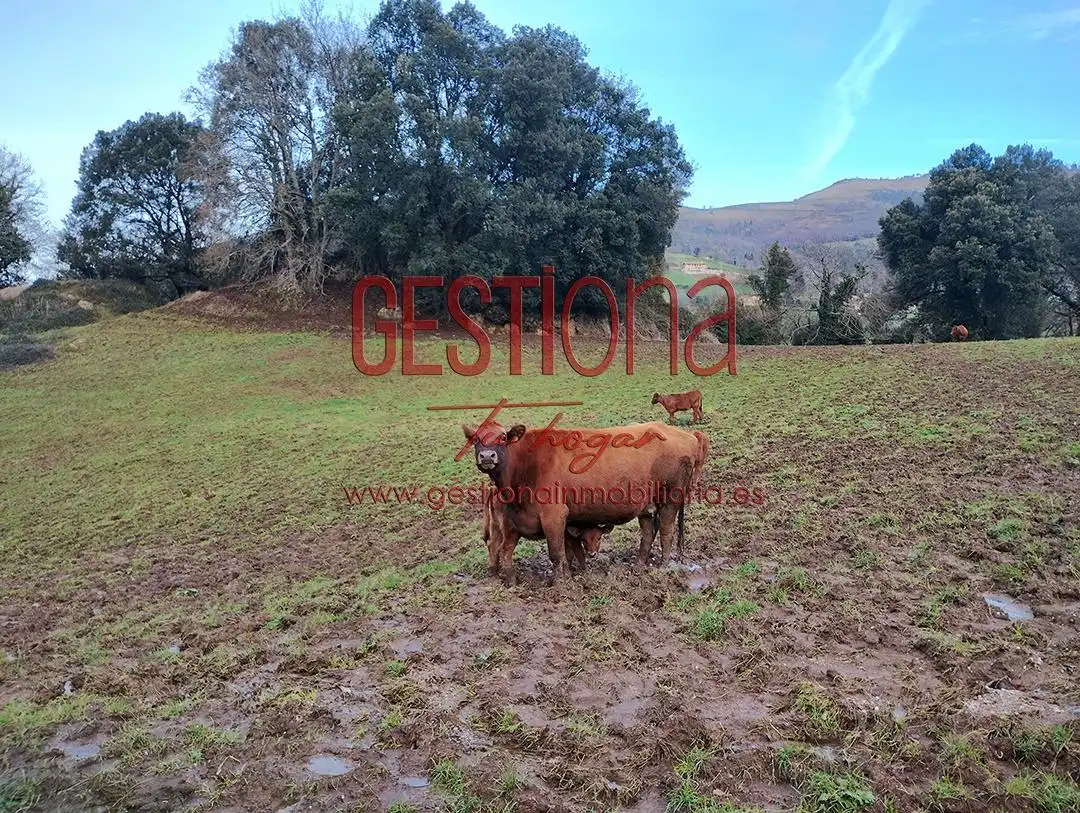Finca rústica en venta en Villafufre con Calefacción, Jardín privado y Balcón