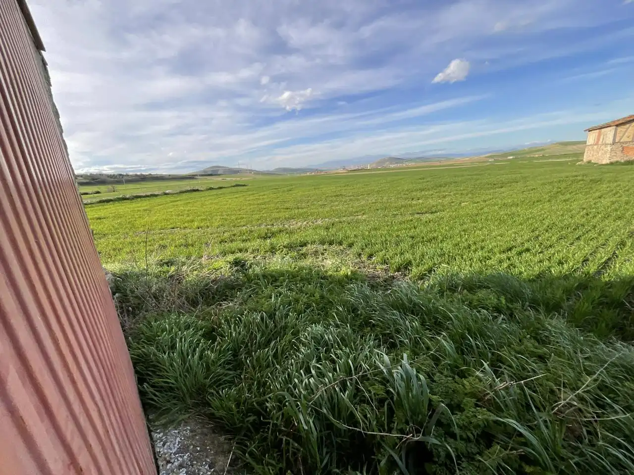 Local en venta en Bascuñana
