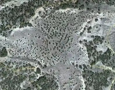 Terreni e lotti in vendita a Vélez-Blanco, imagen 3