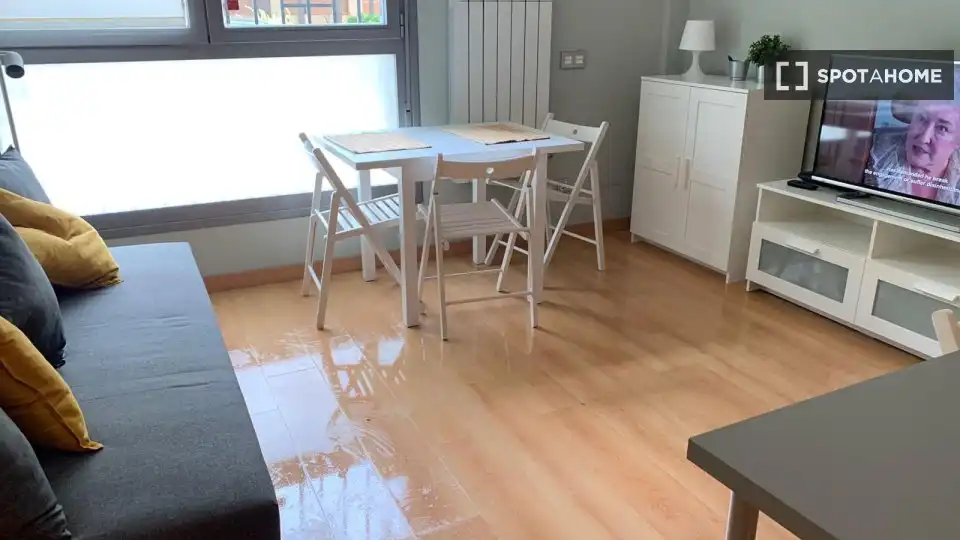 Sala de estar de Piso de alquiler en Madrid con Aire acondicionado, Calefacción y Amueblado