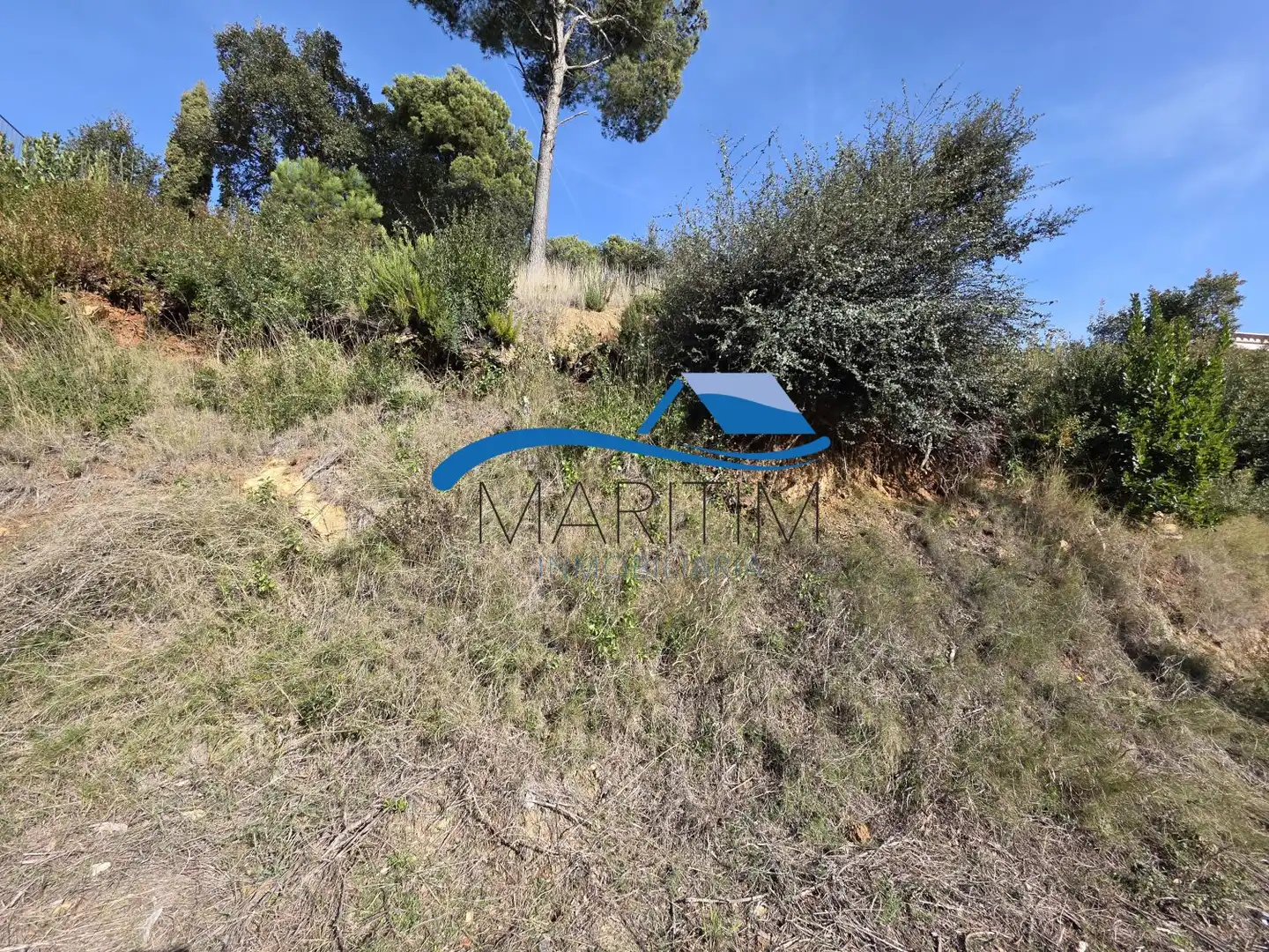 Lands and plots for sale in Pi, imagen 6