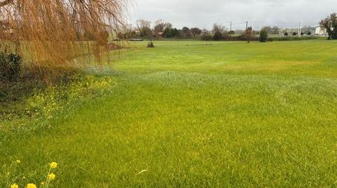 Photo 5 of Residential for sale in Calle el Hoyo, Suesa, Ribamontán al Mar