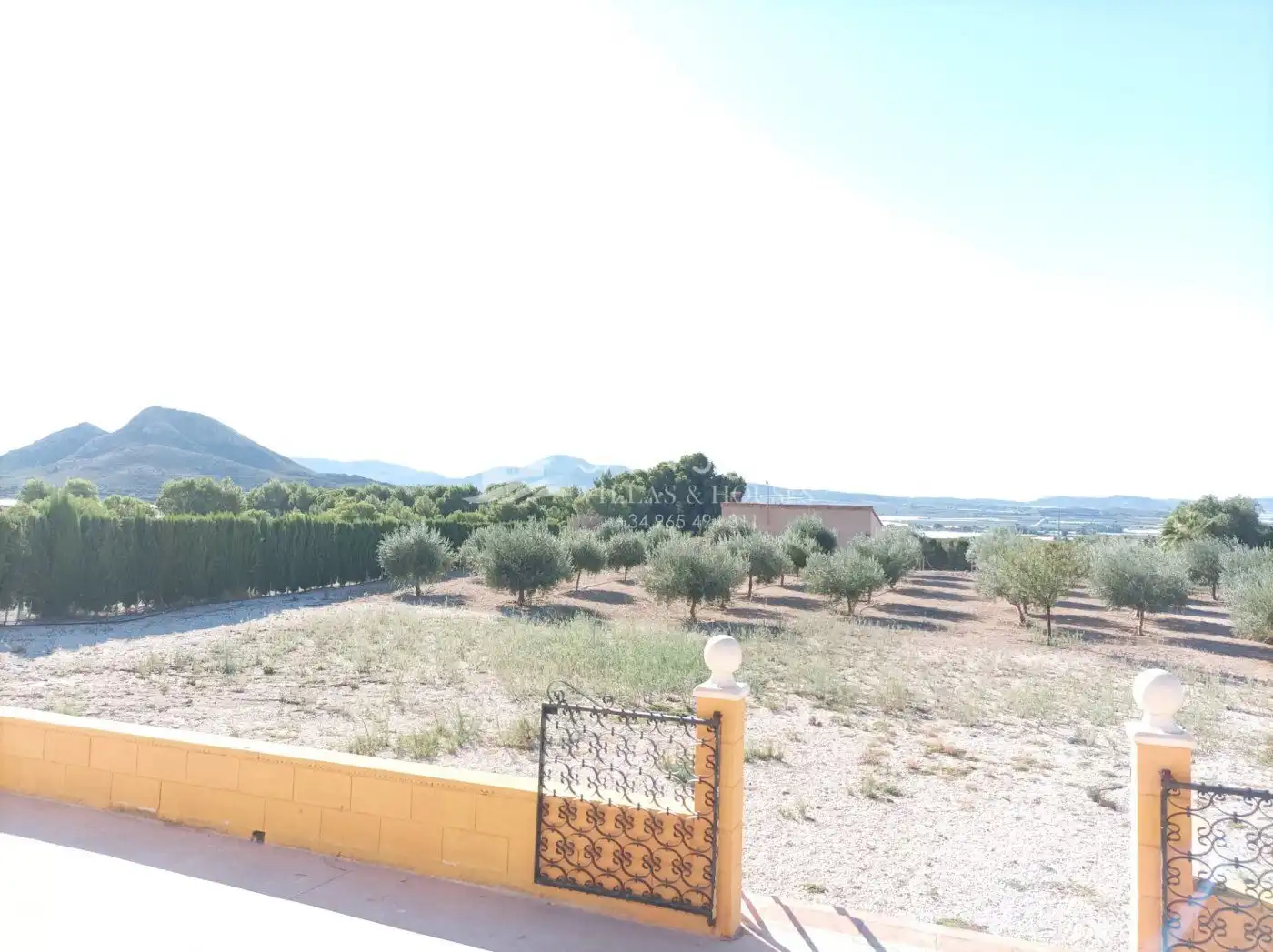 Villa avec jardin à vendre à Monforte del Cid, imagen 35