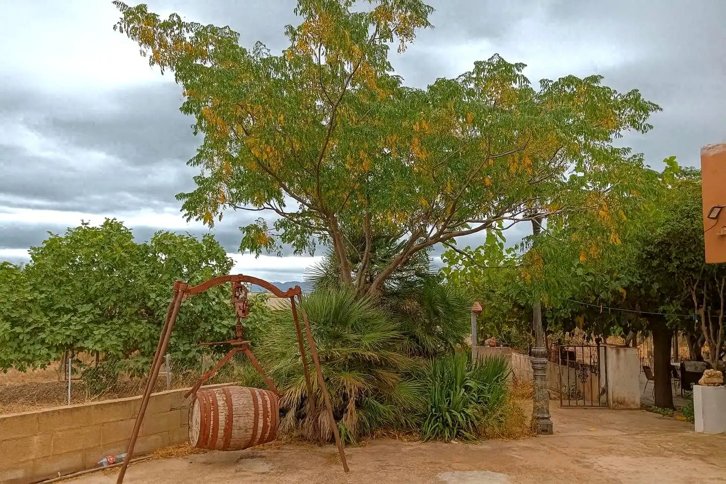 Garden of Houses for sale in Xerta  with Swimming Pool