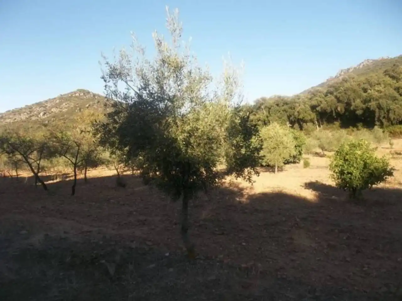 Terreno en venta en Navalvillar de Pela