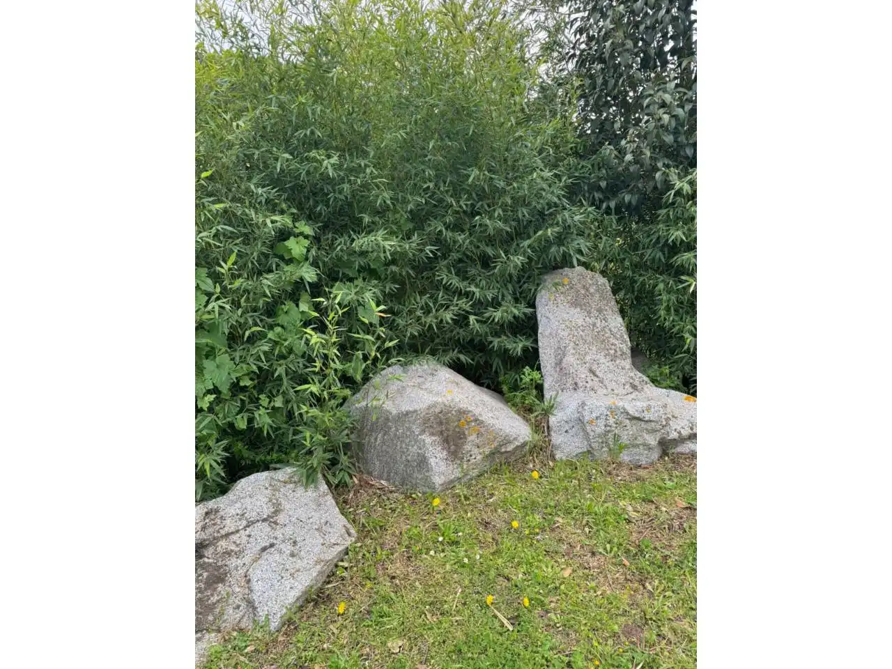 Residential land for sale in Vilanova del Vallès, imagen 8