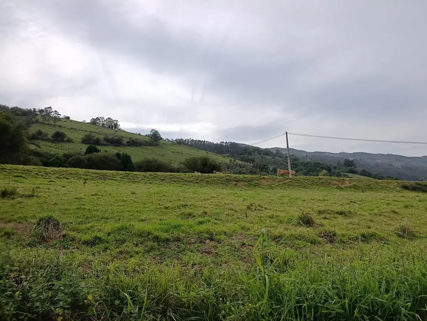 Rustikales Grundstück zum Verkauf in Carretera Piñera (Noriega) 0, imagen 55