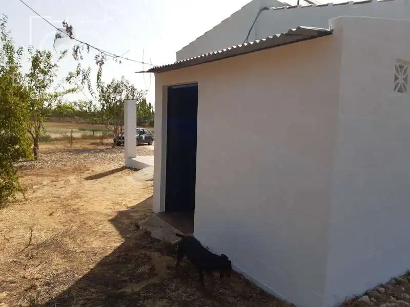 Casa rústica amb jardí en venda a Almonte ciudad, imagen 12