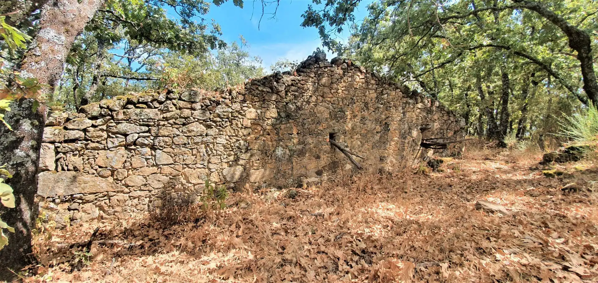 Terreni e lotti in vendita a Jarandilla de la Vera