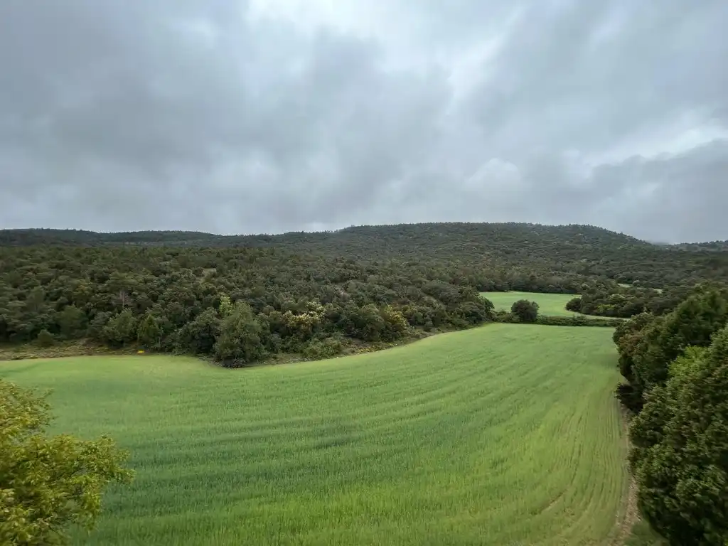 Country homes for sale in El Toro