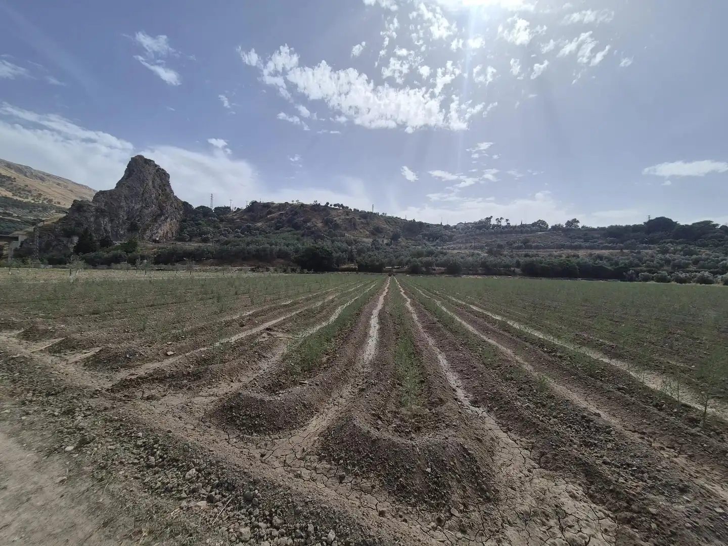 Terrain résidentiel à vendre à Loja, imagen 9