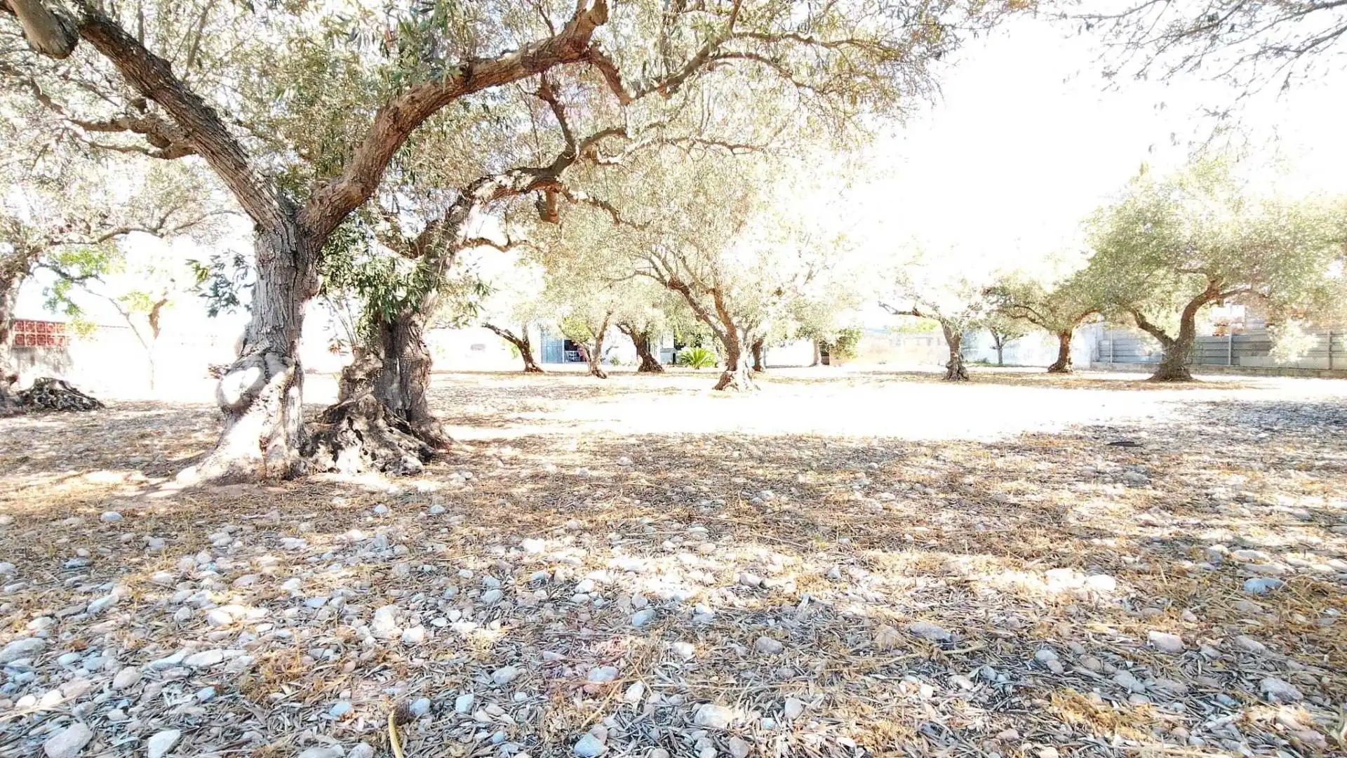 Xalet amb terrassa en venda a Boverals - Saldonar, imagen 45