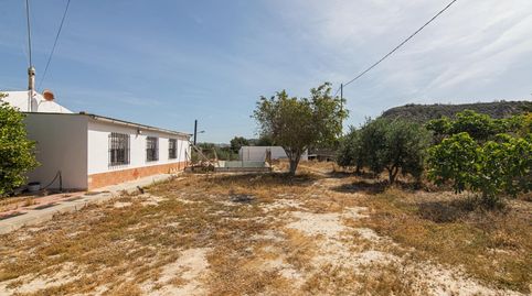 Photo 4 of Houses for sale in Peña de las Águilas, Elche / Elx