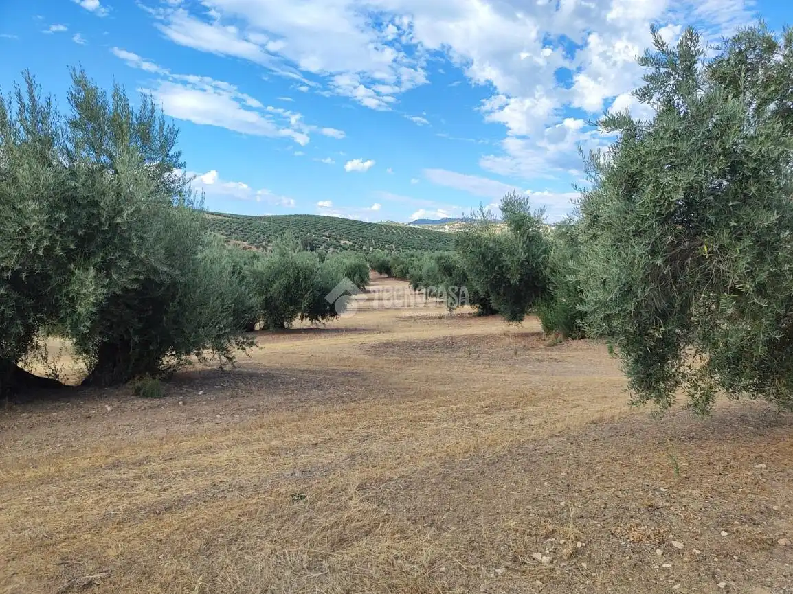 Land for sale in Chilluévar