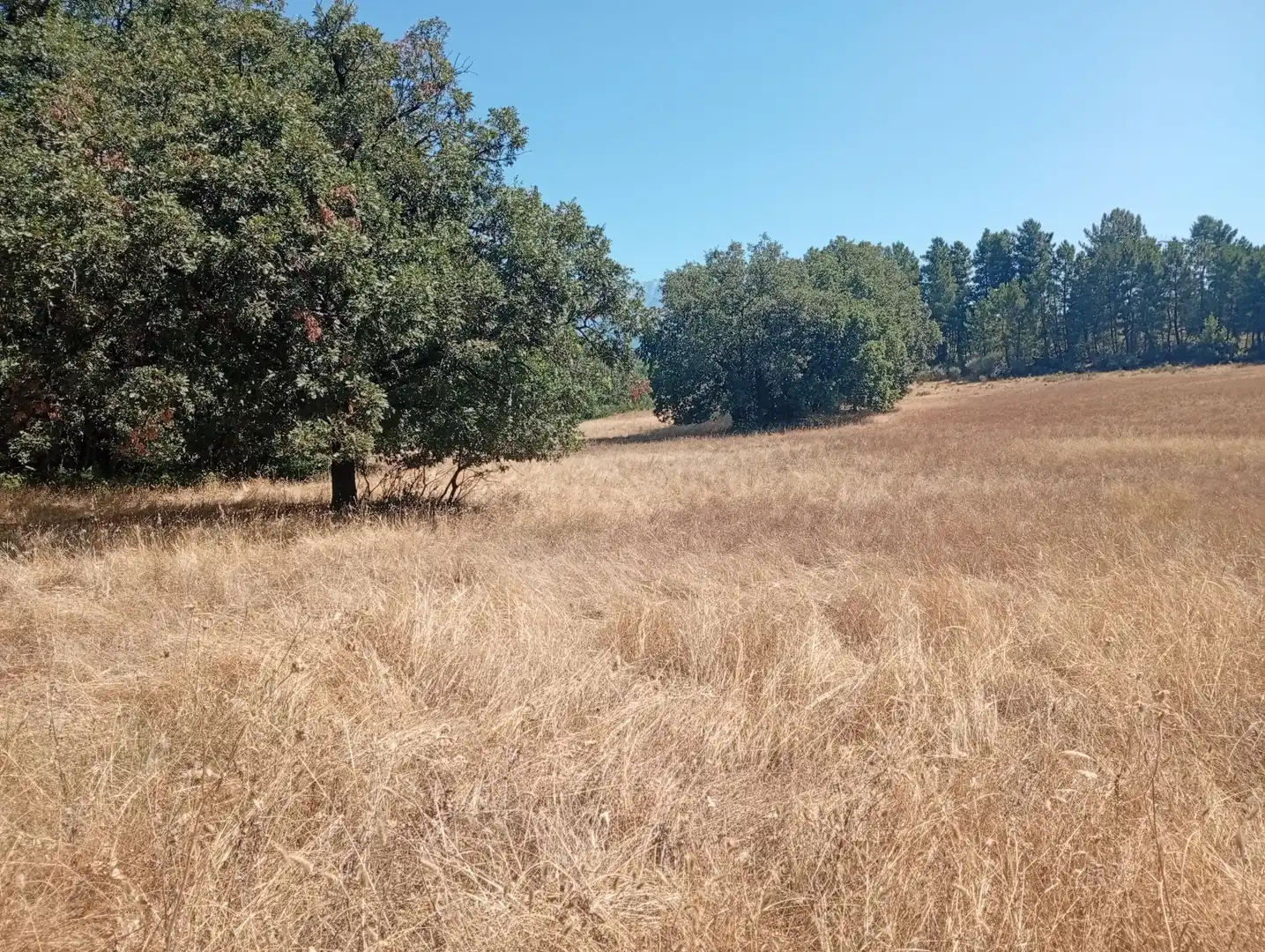 Terreni e lotti in vendita a Villanueva de la Vera, imagen 51
