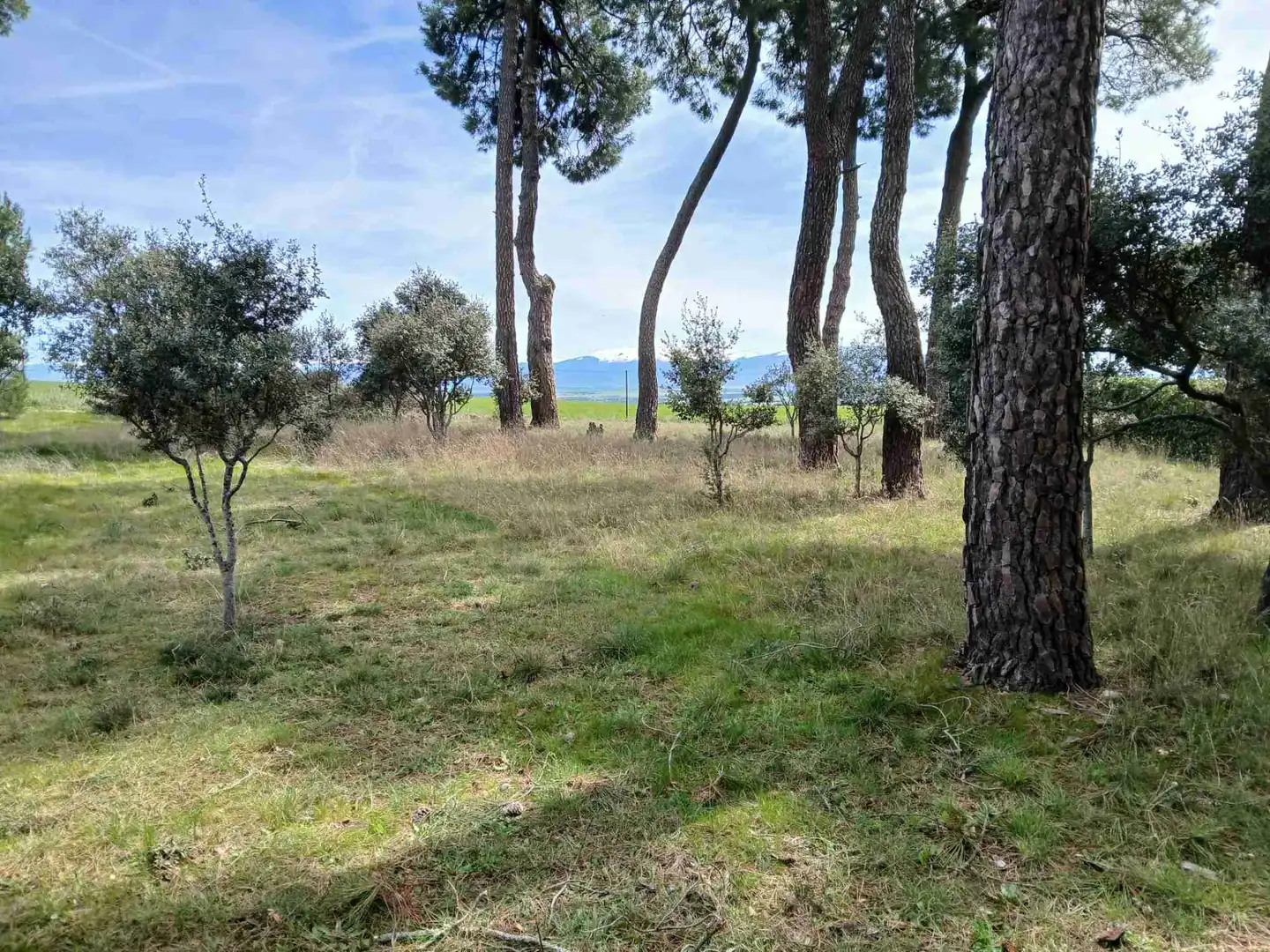 Xalet amb jardí en venda a Lastras del Pozo, imagen 24