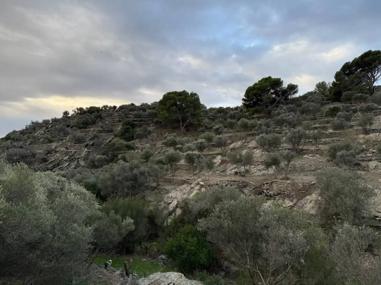 Rural land for sale in Cadaqués, imagen 17