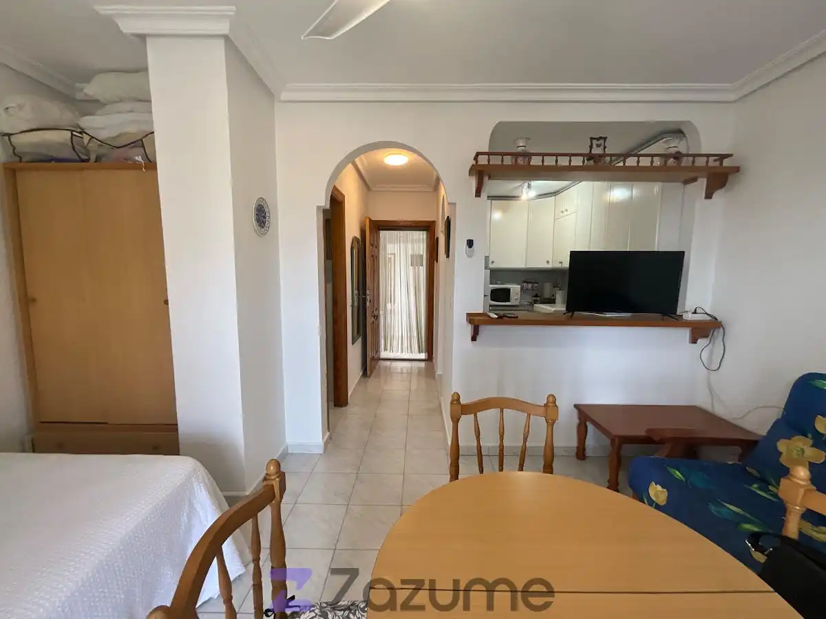 Study for rent in Torrevieja  with Air Conditioner, Private garden and Terrace