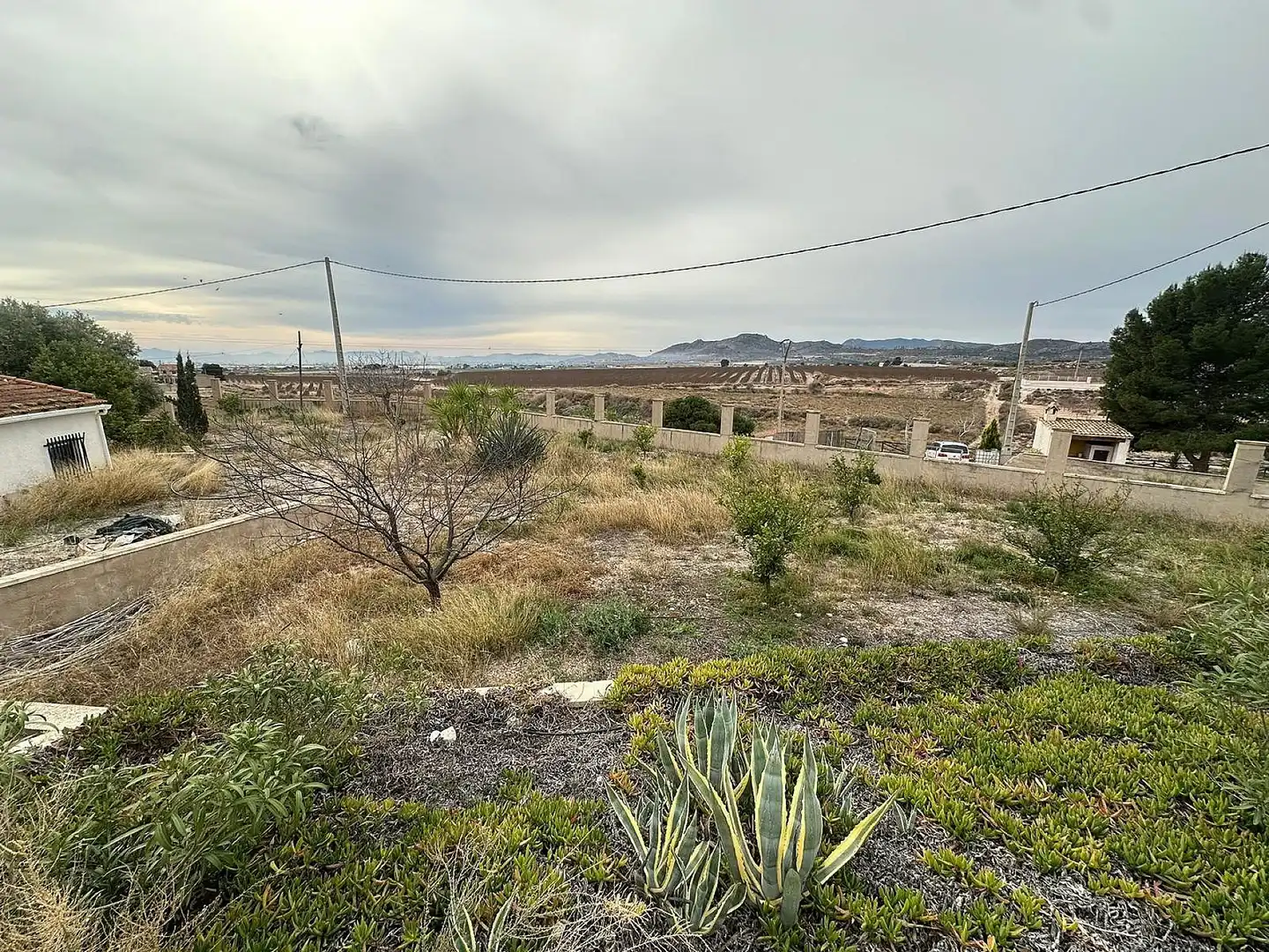 Maison rustique à vendre à Novelda, imagen 40