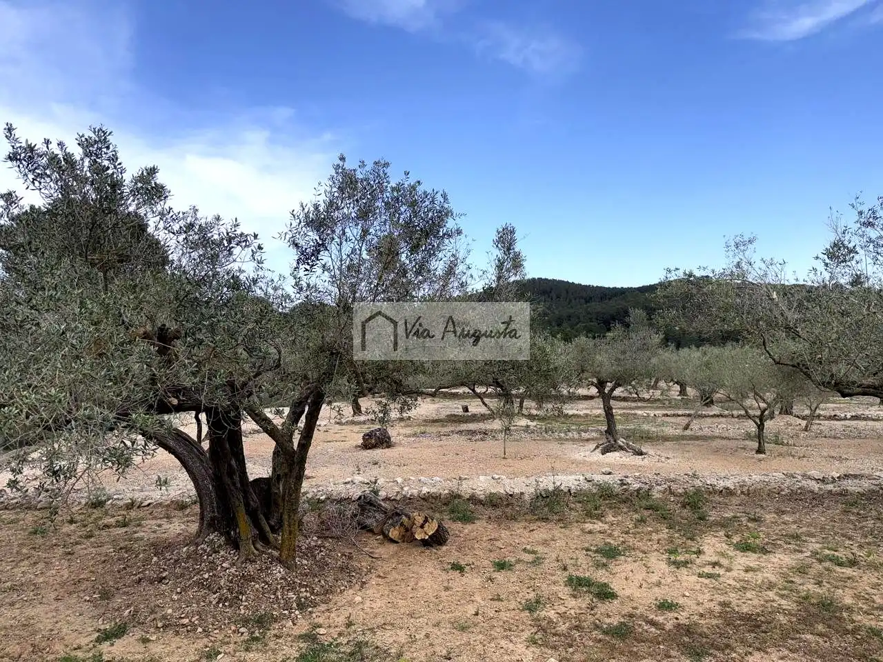 Country homes for sale in Tortosa