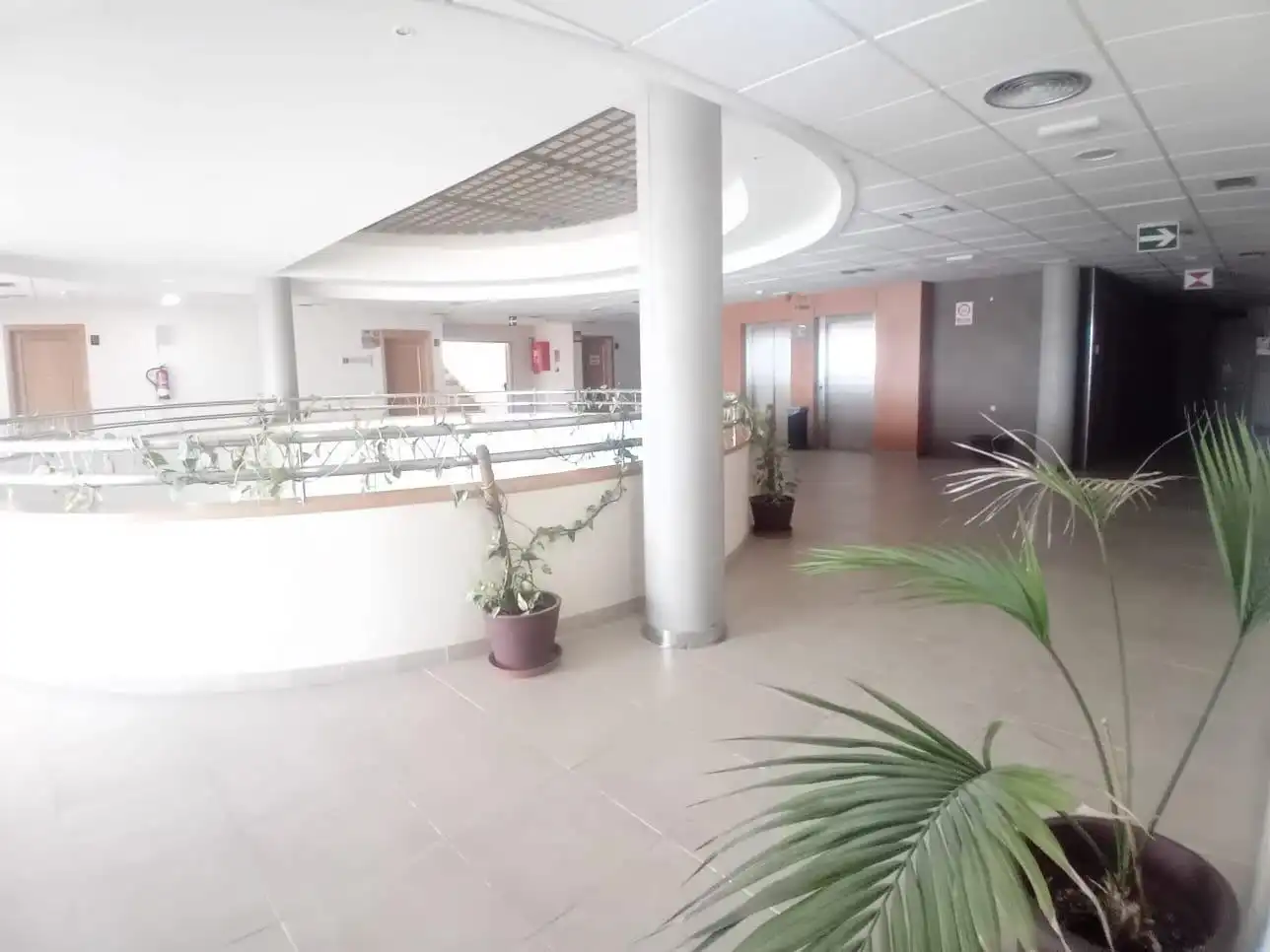 Büro zum Verkauf in El Ejido Ciudad