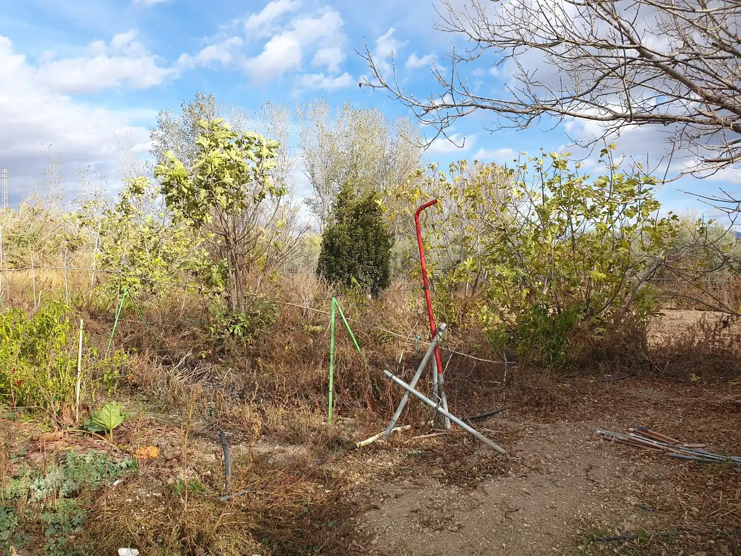 Rural land for sale in Maracena, imagen 7