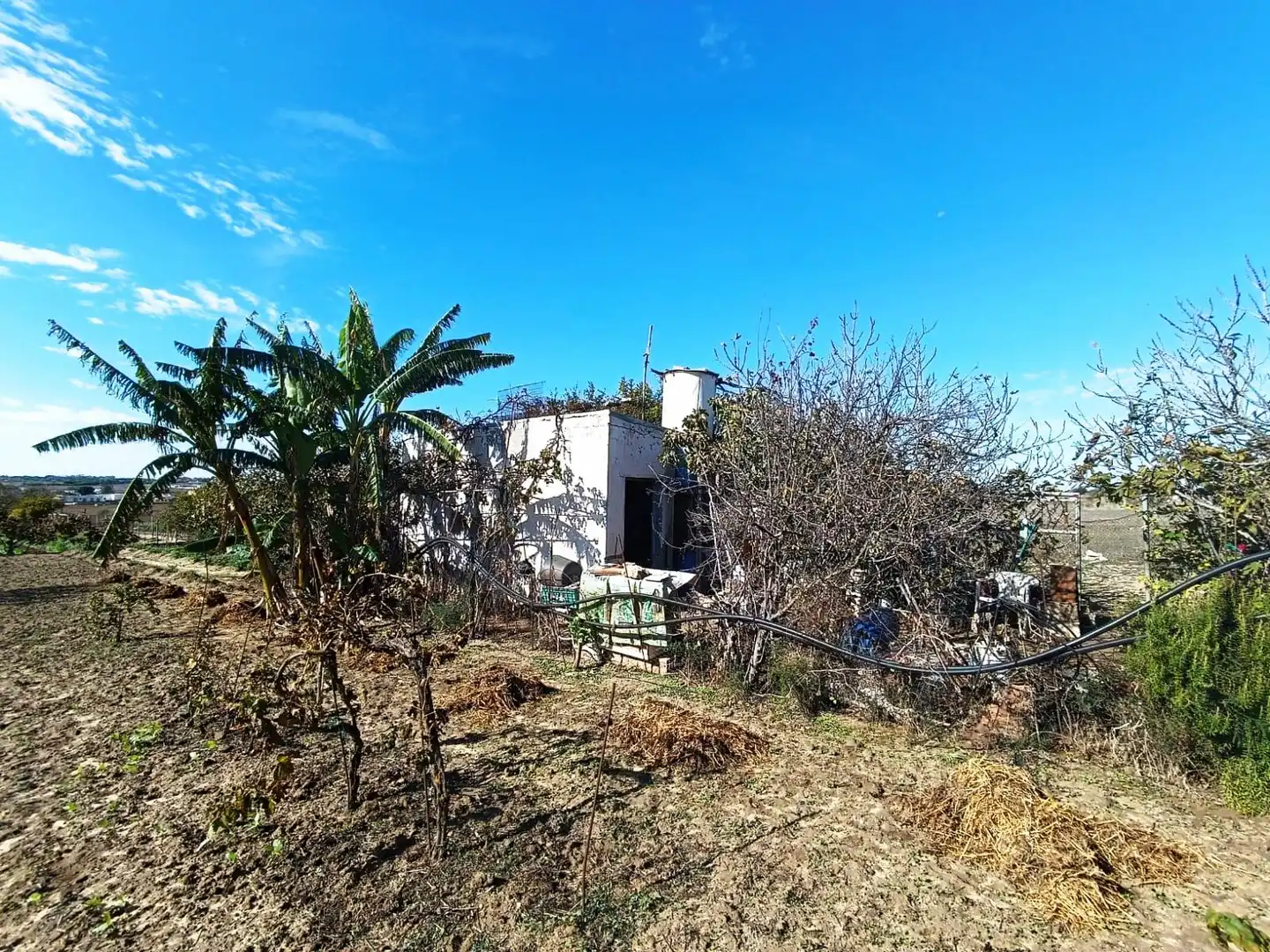 Terreni e lotti in vendita a El Juncal - Vallealto, imagen 18