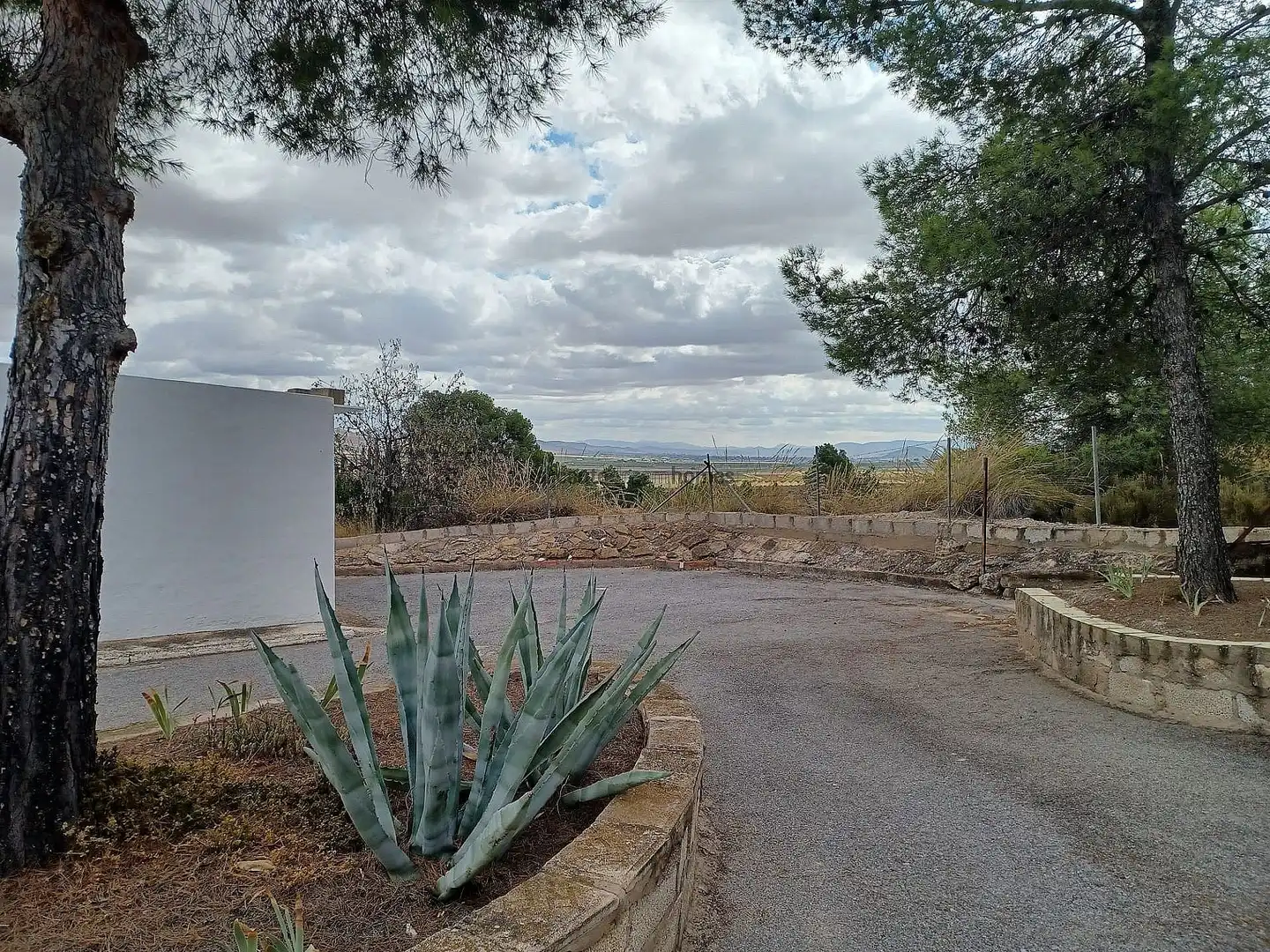 Vista exterior de Finca rústica en venda en Yecla