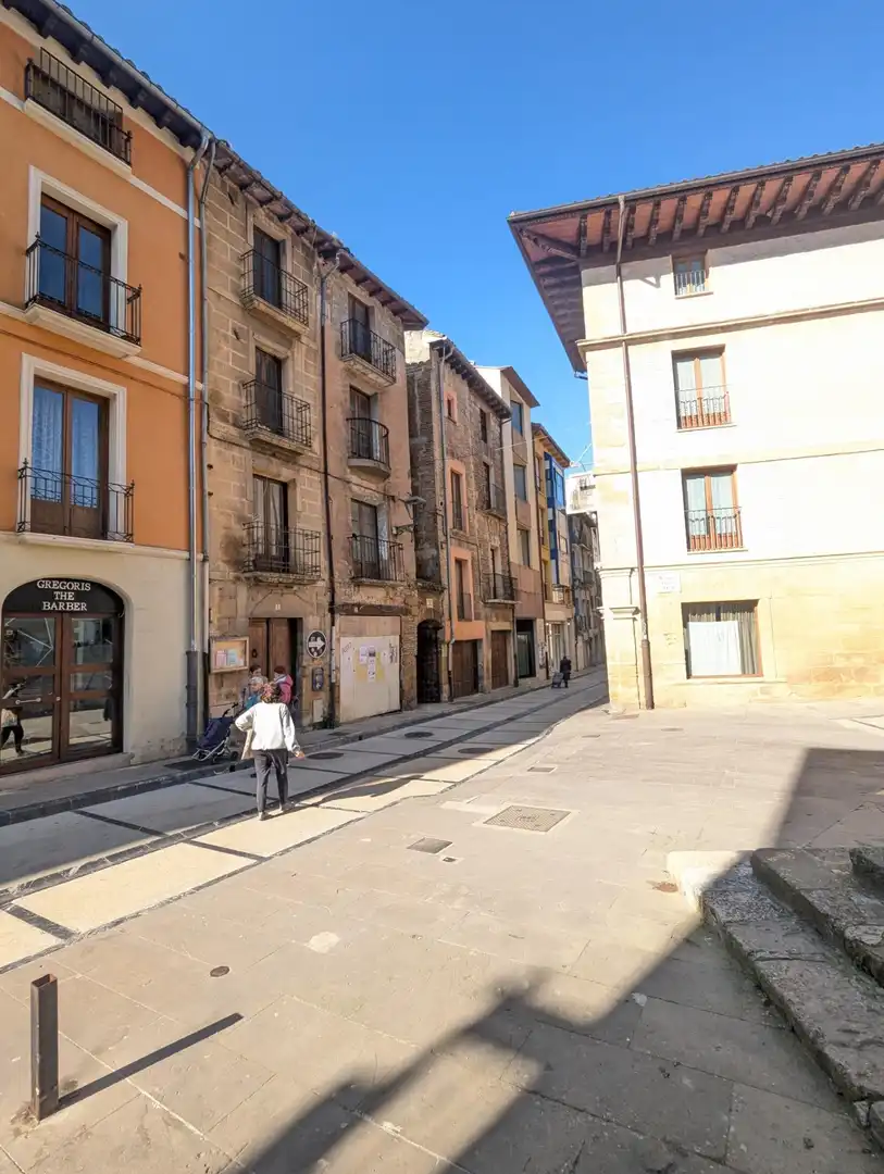 Casa o chalet en venta en Estella / Lizarra