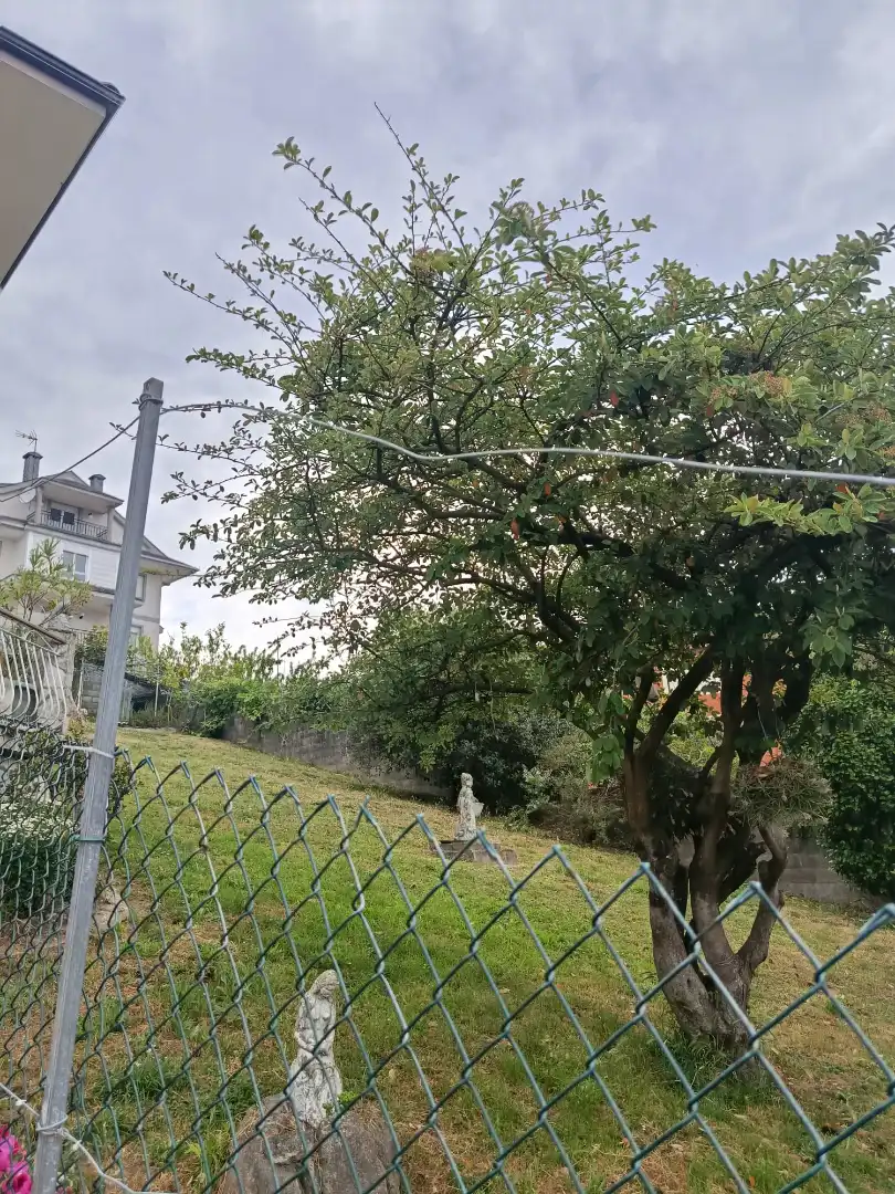Casa amb terrassa en venda a Estrada Paraíso 1-3, imagen 18