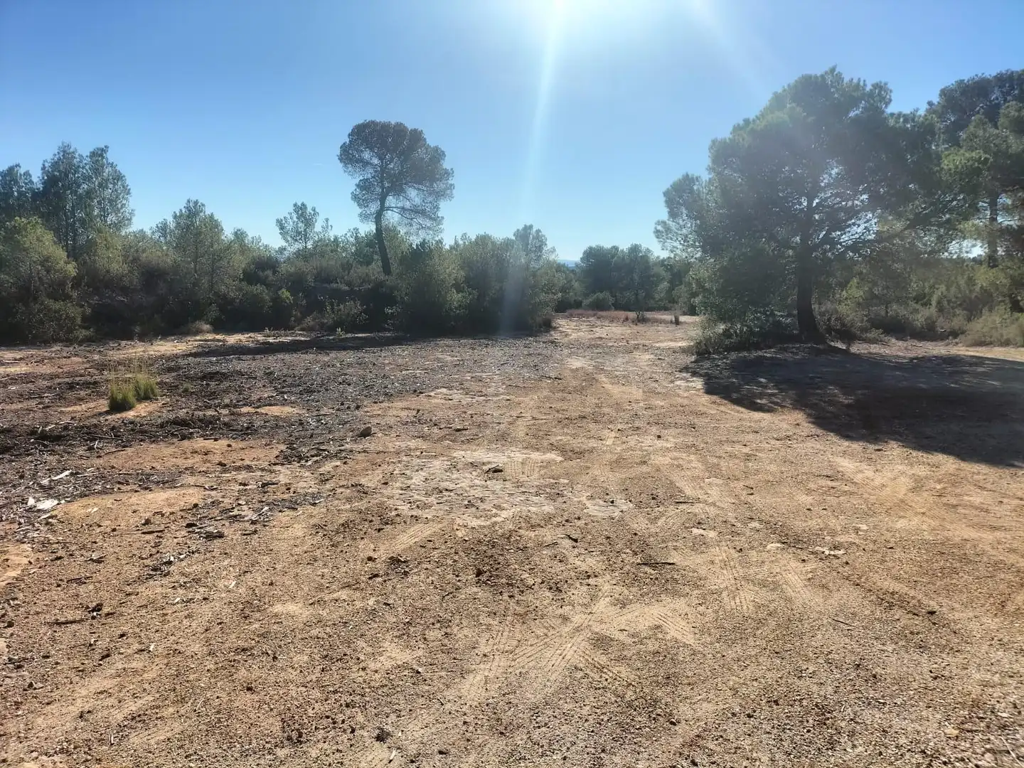 Terreno rustico in vendita a Polígono 6 Parcela 31 CARRASQUETA. NAVARRES (VALE 6, imagen 21