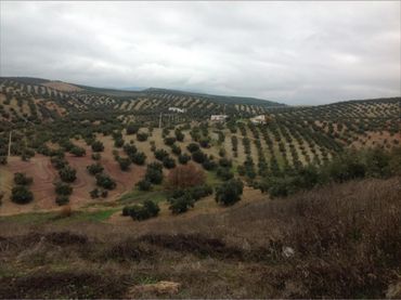 Terreno rustico in vendita a Las Vegas - Campoaras