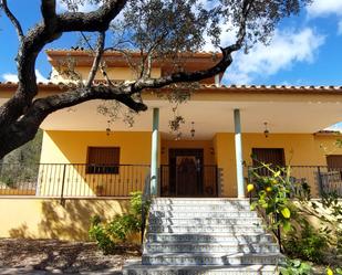 Vista exterior de Casa o xalet en venda en Useras /  Les Useres amb Aire condicionat i Terrassa