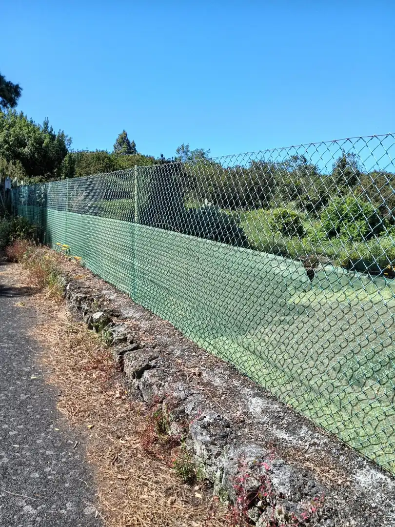 Vista exterior de Finca rústica en venta en Garachico