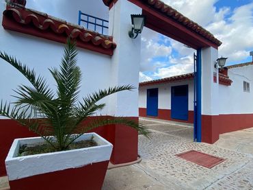 Rural land for sale in La Puebla del Río