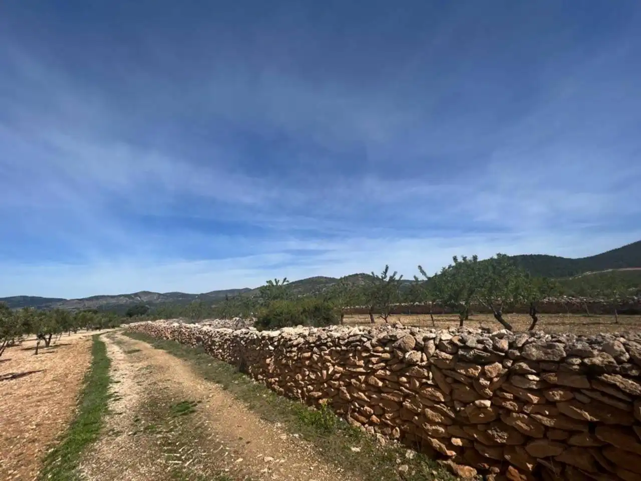 Chalet con jardín en venta en Calle Poligono, imagen 86