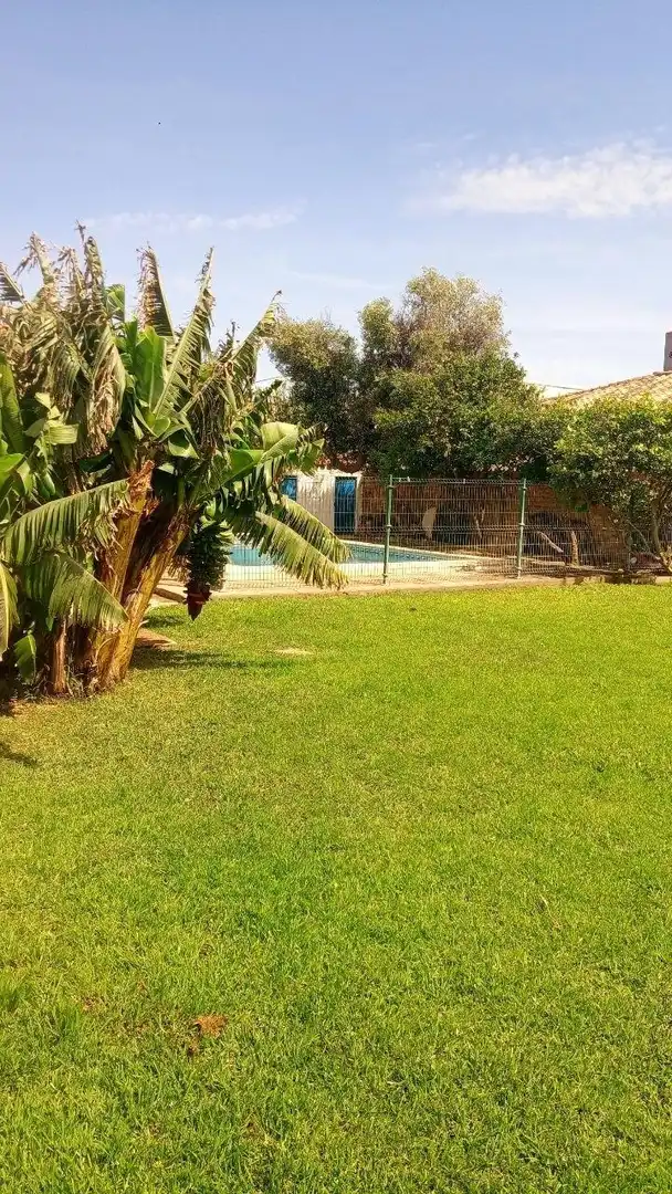 Chalet con piscina en venta en El Zabal - Santa Margarita, imagen 38