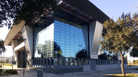 Foto 3 von Büro zur Miete in Calle Juderia, 1, La Pañoleta, Camas