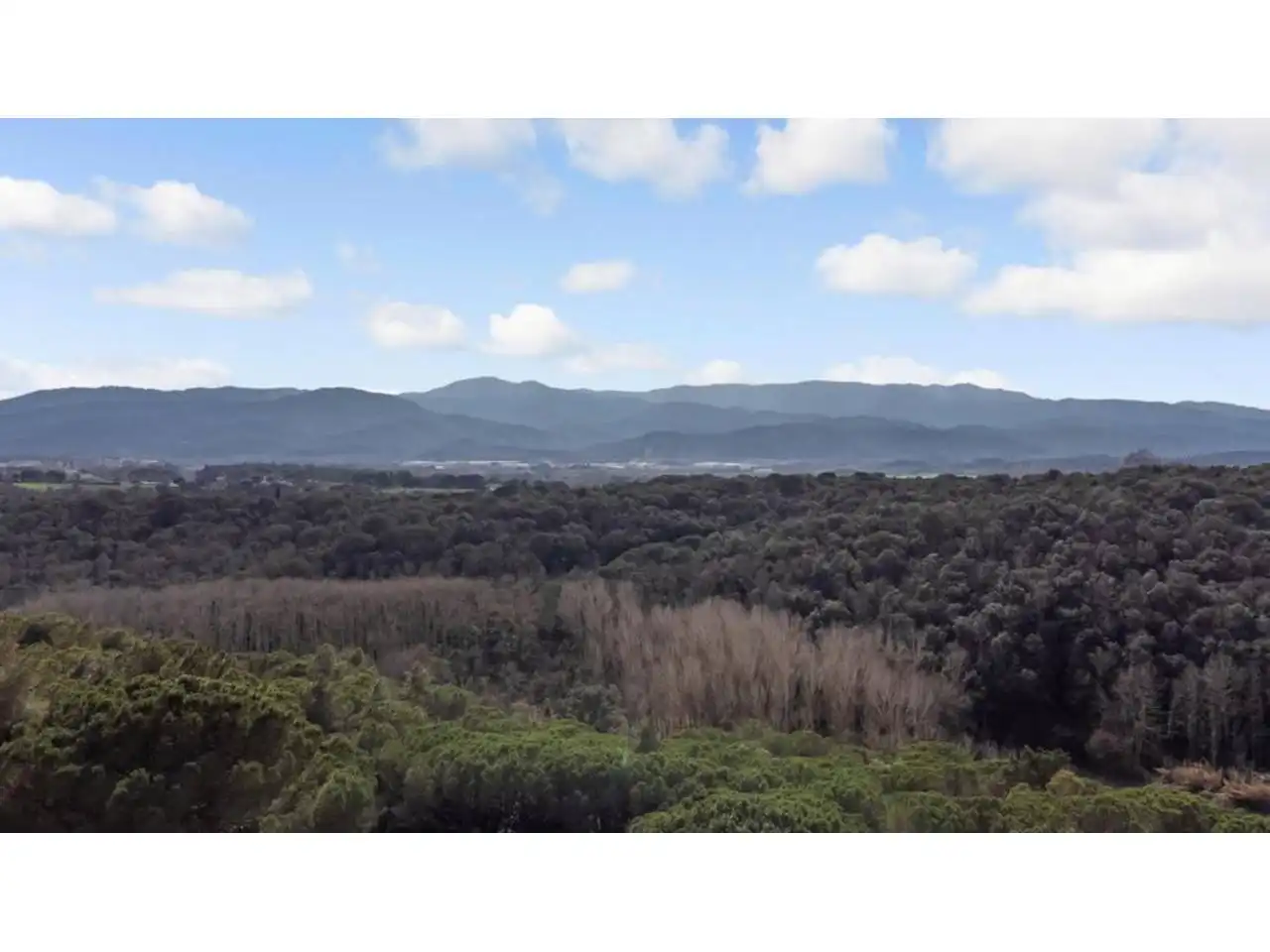 Finca rústica en venda en Sant Feliu de Buixalleu amb Calefacció, Jardí privat i Terrassa
