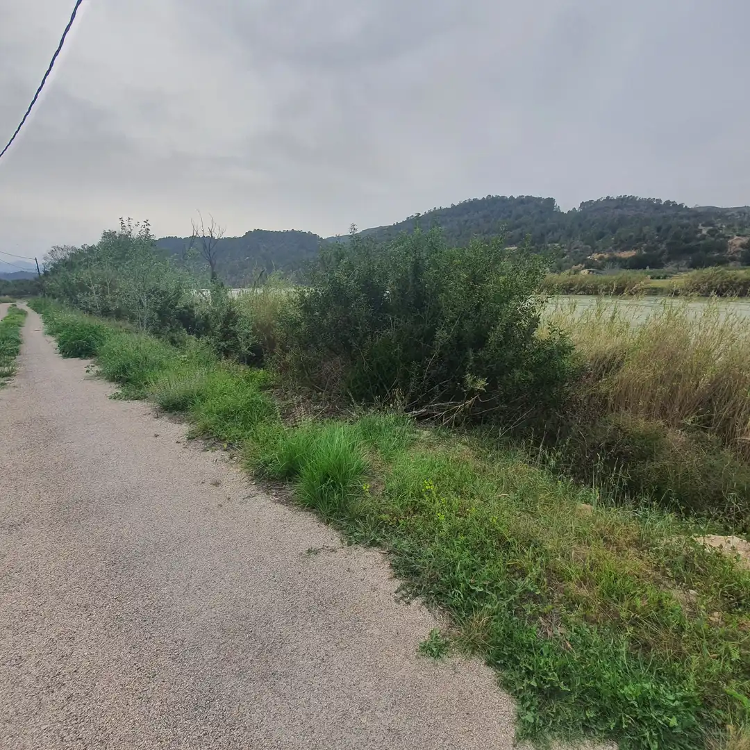 Terreno rústico en venta en Benifallet, imagen 2